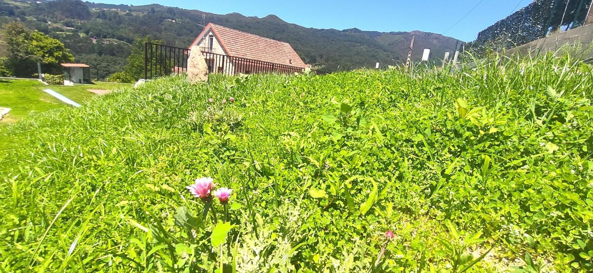 Casa A Mi Vera Covelo  Buitenkant foto