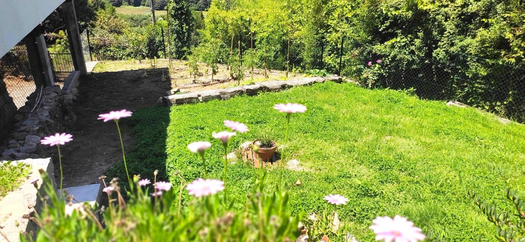 Casa A Mi Vera Covelo  Buitenkant foto